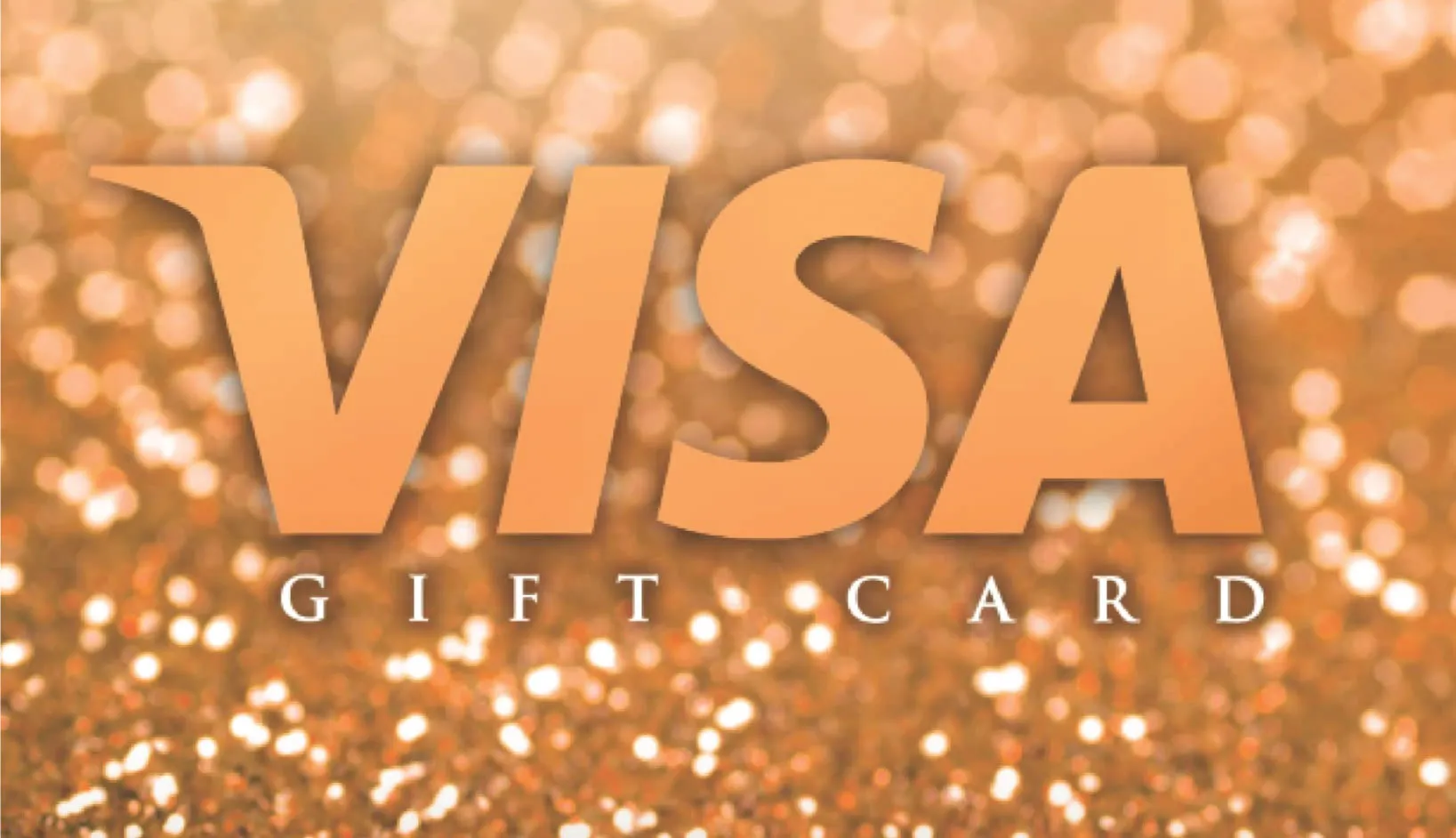 $25 VISA GIFT CARD